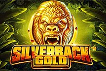 SILVERBACK GOLD